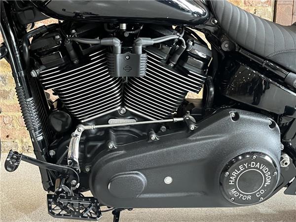 2020 Harley-Davidson Softail