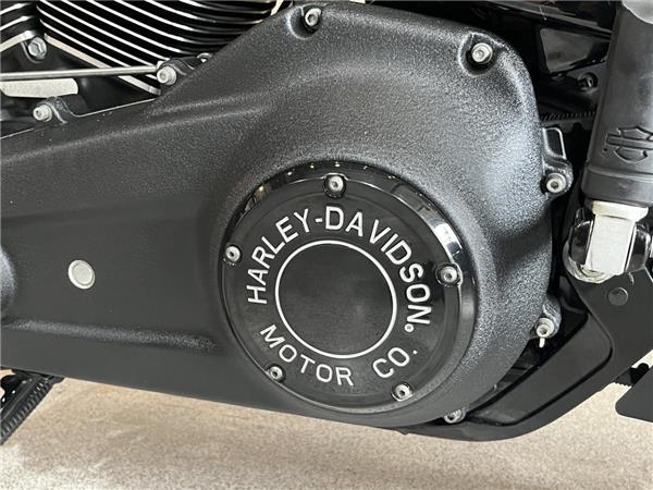 2020 Harley-Davidson Softail