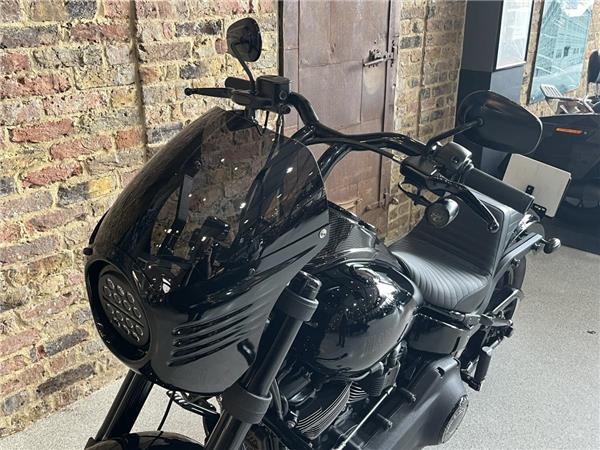 2020 Harley-Davidson Softail