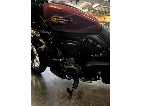 2024 HARLEY-DAVIDSON NIGHTSTER