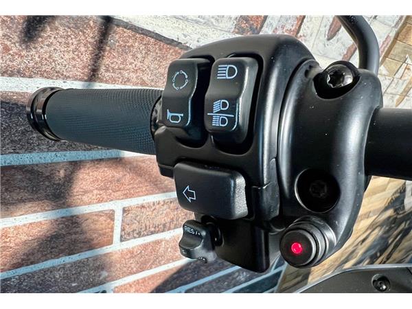 2022 harley-davidson FXLRST Low Rider ST 117