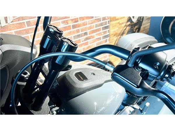 2022 harley-davidson FXLRST Low Rider ST 117