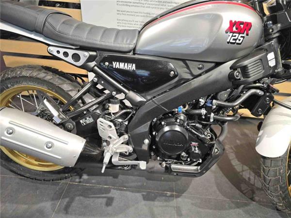 2025 Yamaha XSR 125 (MTM125) Grey