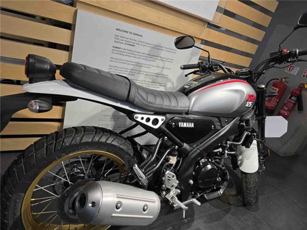 2025 Yamaha XSR 125 (MTM125) Grey