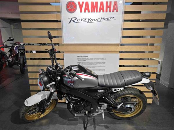 2025 Yamaha XSR 125 (MTM125) Grey