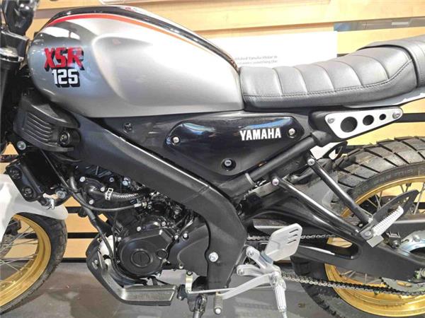 2025 Yamaha XSR 125 (MTM125) Grey