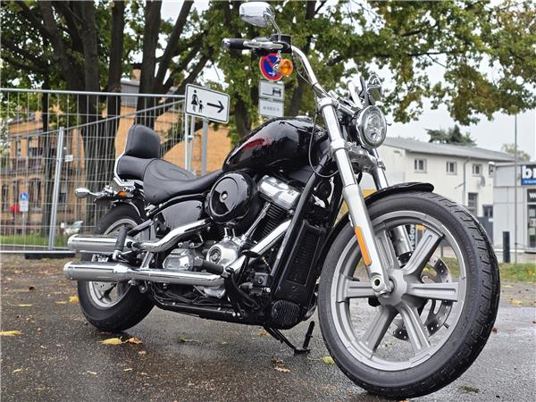 2023 Softail Standard