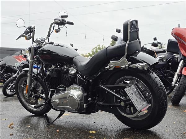 2023 Softail Standard