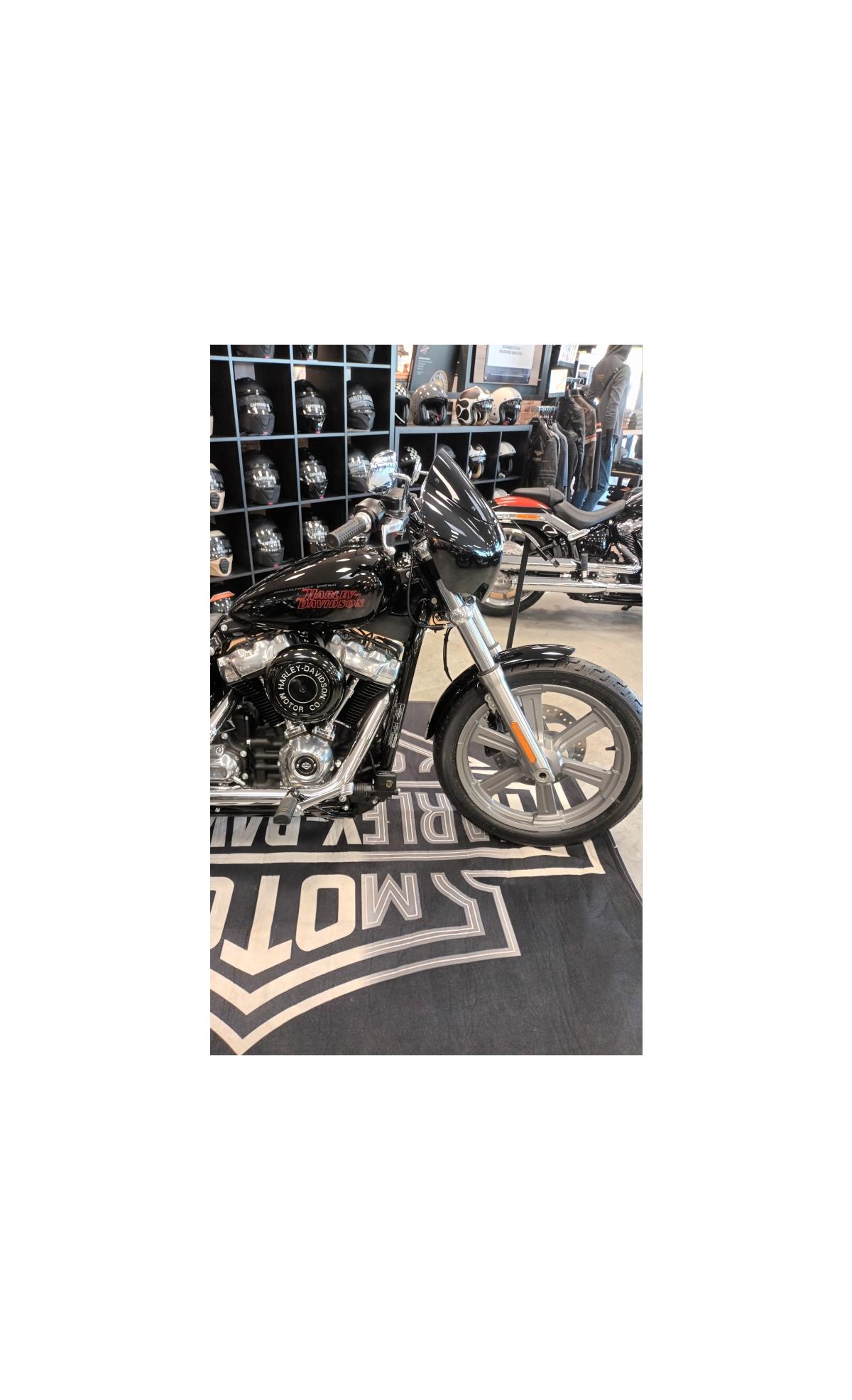 2024 HARLEY-DAVIDSON STANDARD