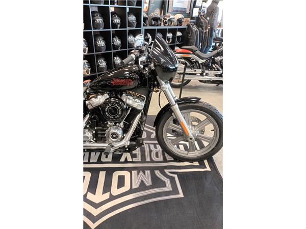 2024 HARLEY-DAVIDSON STANDARD