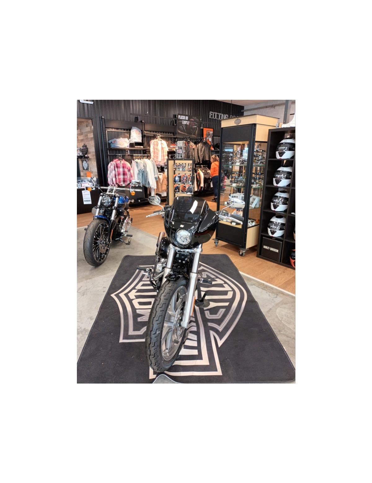 2024 HARLEY-DAVIDSON STANDARD