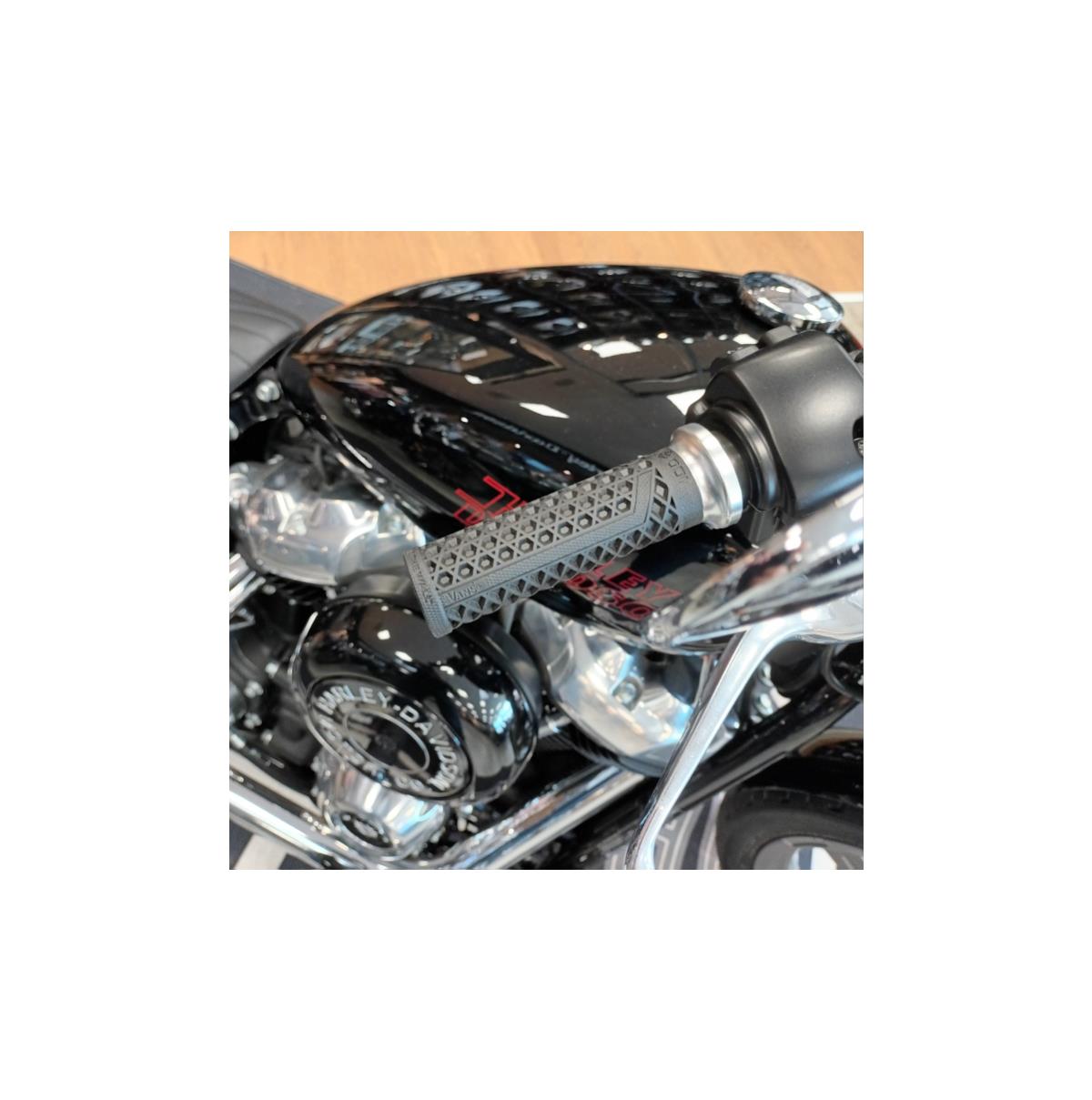 2024 HARLEY-DAVIDSON STANDARD