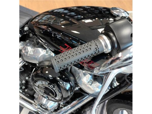 2024 HARLEY-DAVIDSON STANDARD