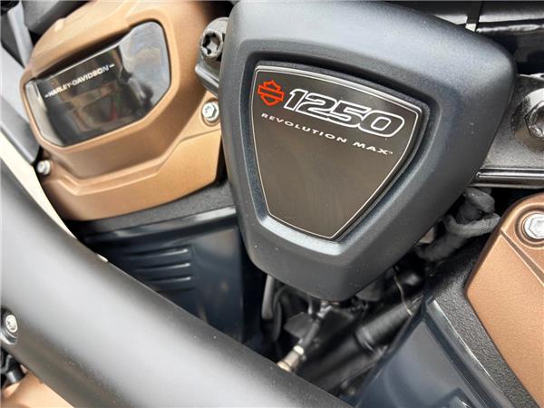2023 HARLEY-DAVIDSON SPORTSTER S