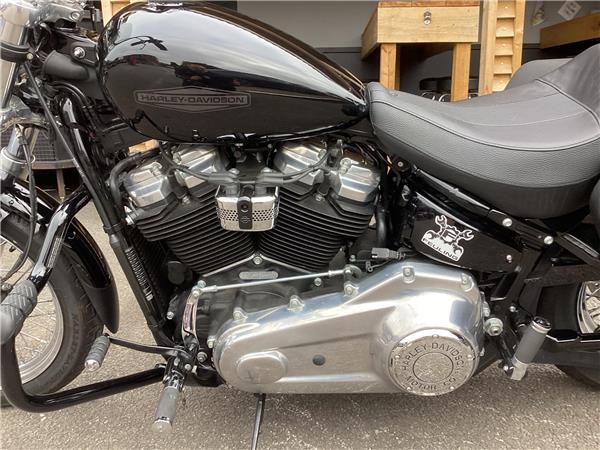 2022 Harley-Davidson Softail