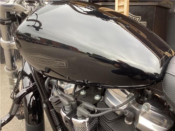 2022 Harley-Davidson Softail