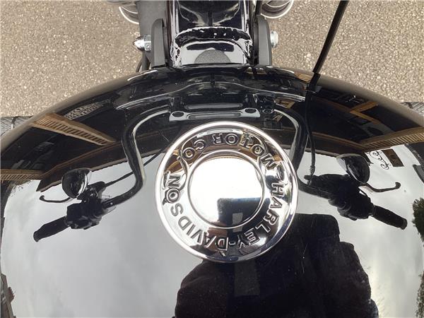 2022 Harley-Davidson Softail