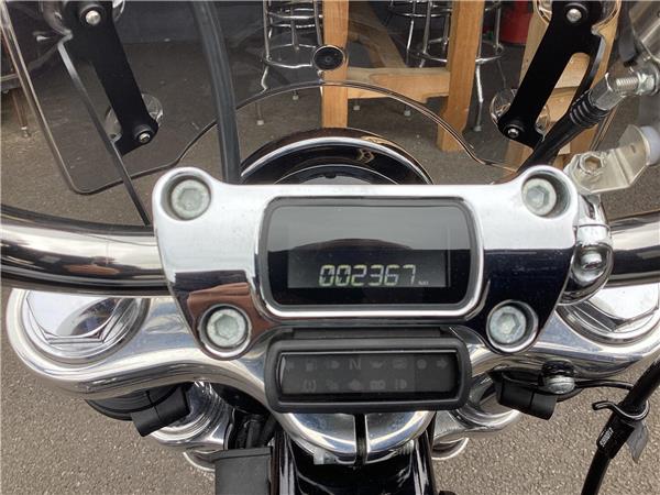 2022 Harley-Davidson Softail