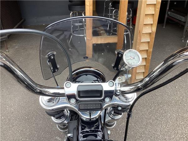 2022 Harley-Davidson Softail