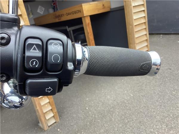 2022 Harley-Davidson Softail