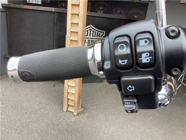 2022 Harley-Davidson Softail