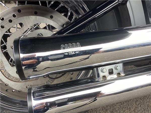 2022 Harley-Davidson Softail