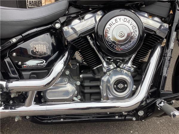 2022 Harley-Davidson Softail
