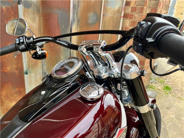 2021 Harley-Davidson Softail