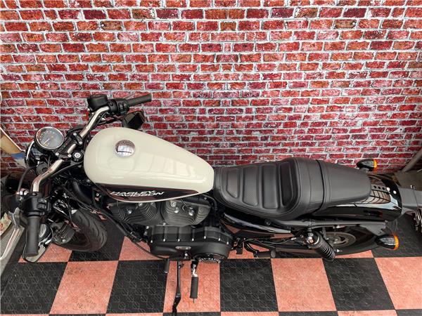 2020 harley-davidson XL 1200 CX Sportster Roadster ABS