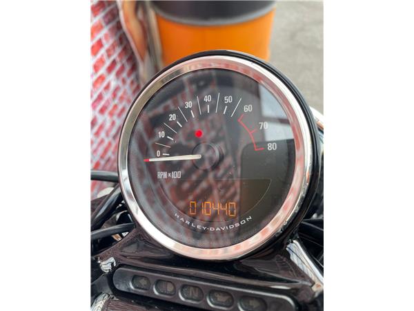 2020 harley-davidson XL 1200 CX Sportster Roadster ABS