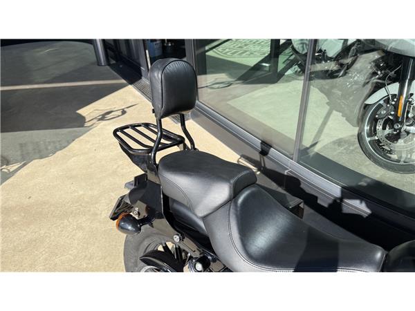 2015 harley-davidson XL 883 N Sportster Iron