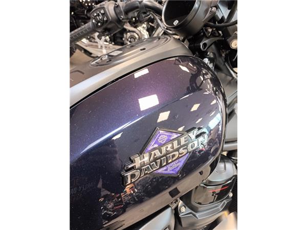 2025 HARLEY-DAVIDSON SPORTSTER 1250