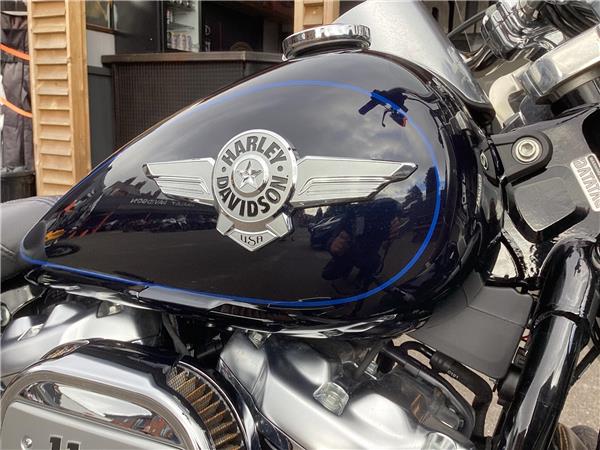 2020 Harley-Davidson Softail