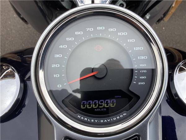 2020 Harley-Davidson Softail