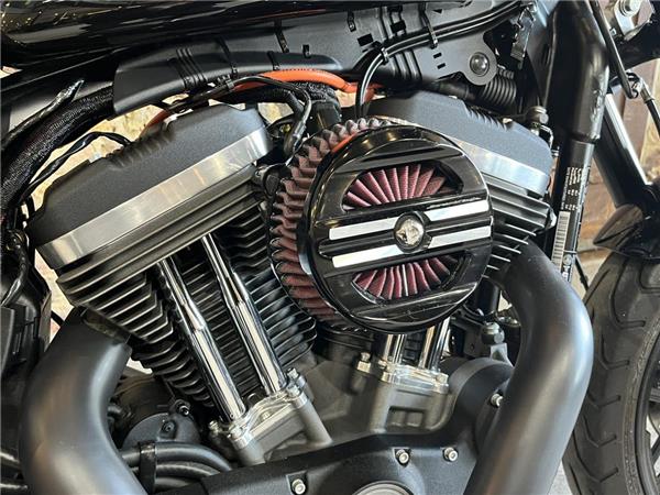 2019 Harley-Davidson Sportster