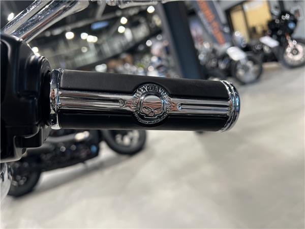 2020 HARLEY-DAVIDSON STANDARD