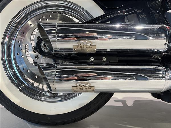 2020 HARLEY-DAVIDSON STANDARD