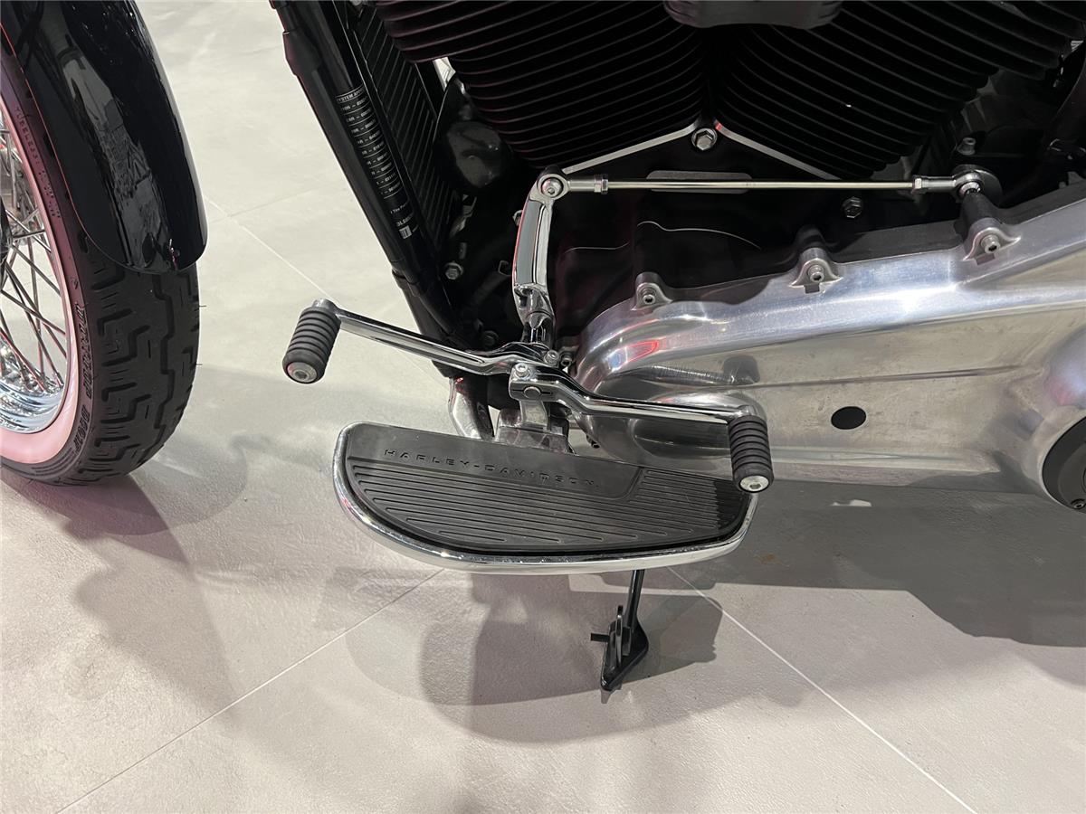 2020 HARLEY-DAVIDSON STANDARD