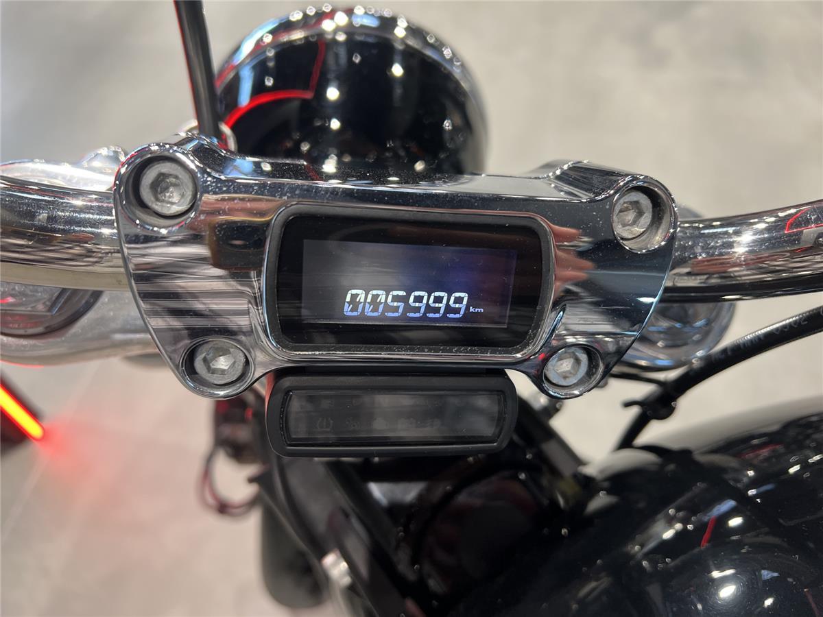 2020 HARLEY-DAVIDSON STANDARD