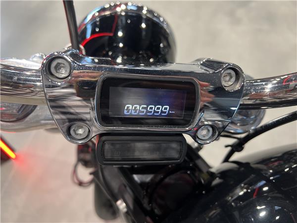 2020 HARLEY-DAVIDSON STANDARD