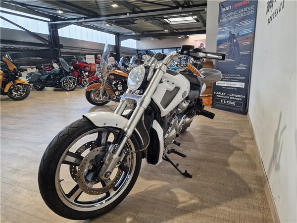 2014 HARLEY-DAVIDSON MUSCLE