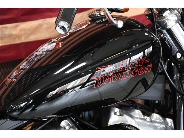 2024 HARLEY-DAVIDSON SOFTAIL STANDARD 