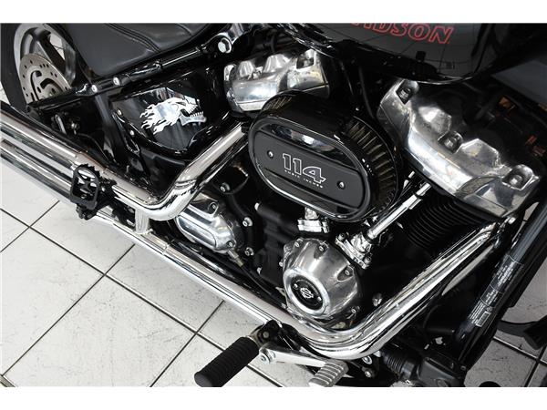 2024 HARLEY-DAVIDSON SOFTAIL STANDARD 