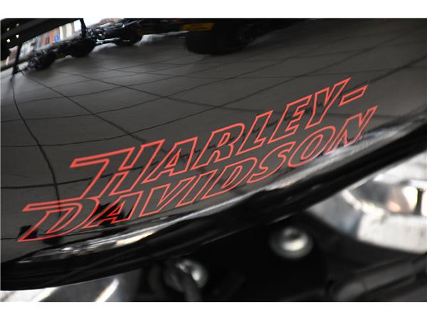 2024 HARLEY-DAVIDSON SOFTAIL STANDARD 