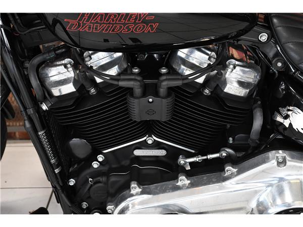 2024 HARLEY-DAVIDSON SOFTAIL STANDARD 