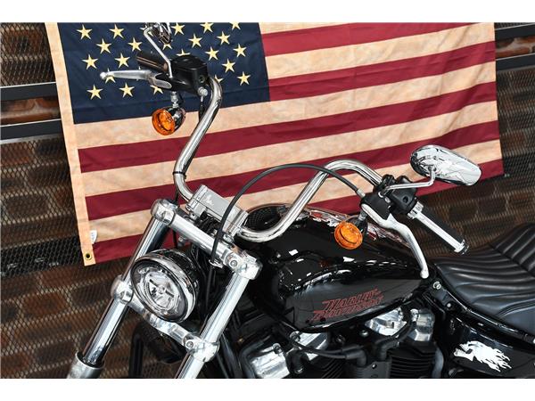 2024 HARLEY-DAVIDSON SOFTAIL STANDARD 