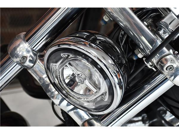 2024 HARLEY-DAVIDSON SOFTAIL STANDARD 