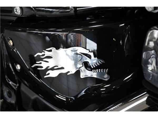 2024 HARLEY-DAVIDSON SOFTAIL STANDARD 