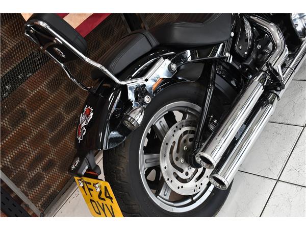 2024 HARLEY-DAVIDSON SOFTAIL STANDARD 