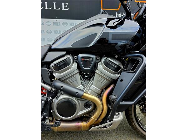 2025 HARLEY-DAVIDSON PAN AMERICA